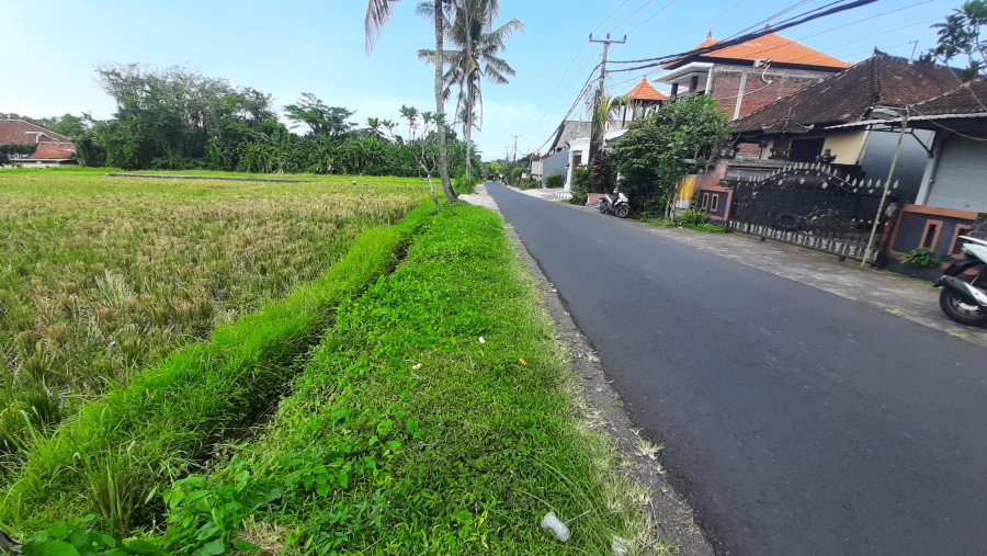 Tabanan,Bali,Indonesia,Land,MLS ID