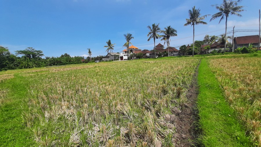 Tabanan,Bali,Indonesia,Land,MLS ID