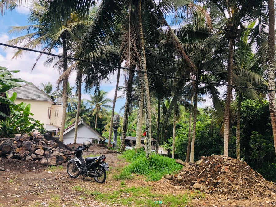 Ubud,Bali,Indonesia,Land,MLS ID