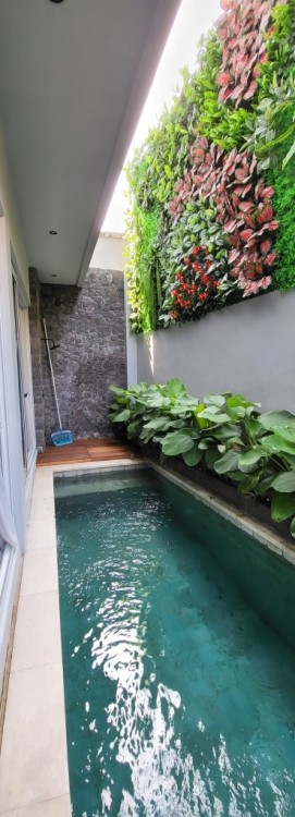 Canggu,Bali,Indonesia,2 Bedrooms,2 Bathrooms,Villa,MLS ID