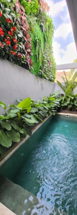 Canggu,Bali,Indonesia,2 Bedrooms,2 Bathrooms,Villa,MLS ID