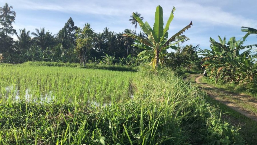 Gianyar,Bali,Indonesia,Land,MLS ID