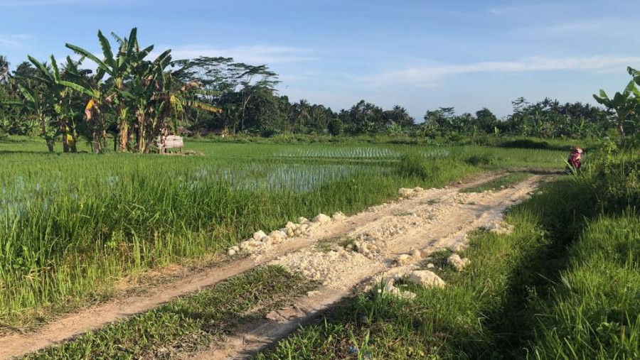 Gianyar,Bali,Indonesia,Land,MLS ID