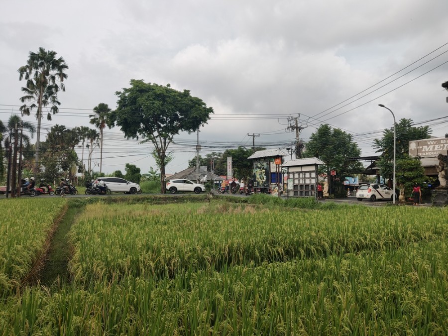 Canggu,Bali,Indonesia,Land,MLS ID