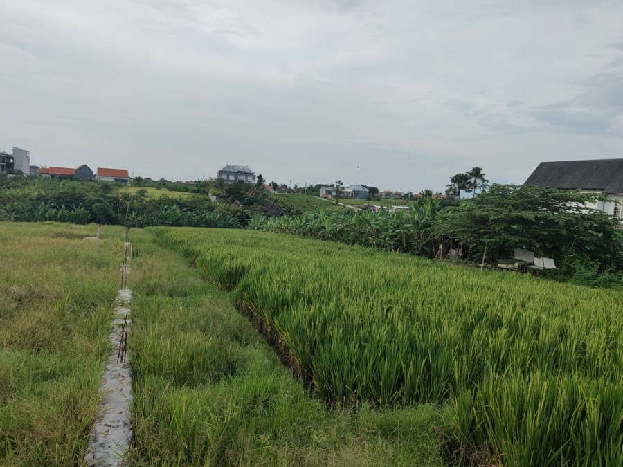 Canggu,Bali,Indonesia,Land,MLS ID