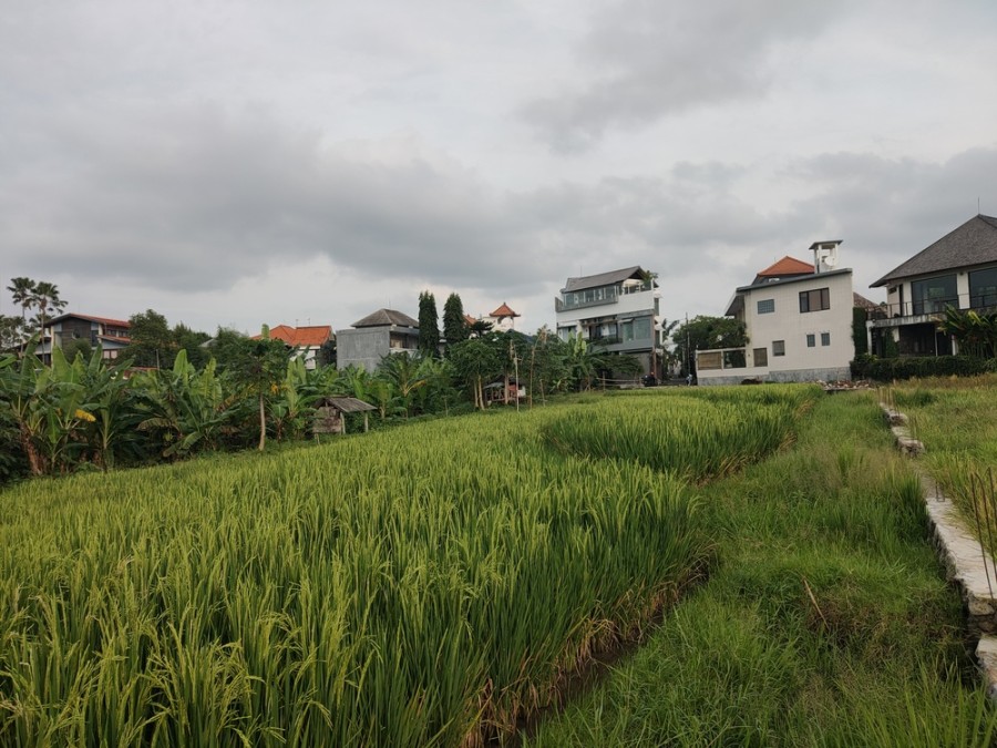 Canggu,Bali,Indonesia,Land,MLS ID