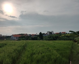 Canggu,Bali,Indonesia,Land,MLS ID