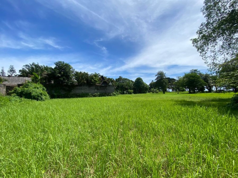 Canggu,Bali,Indonesia,Land,MLS ID