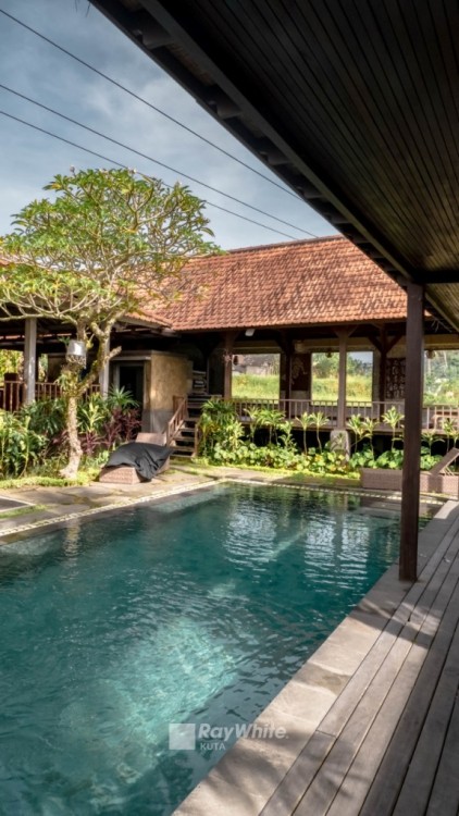 Ubud,Bali,Indonesia,5 Bedrooms,7 Bathrooms,Villa,MLS ID