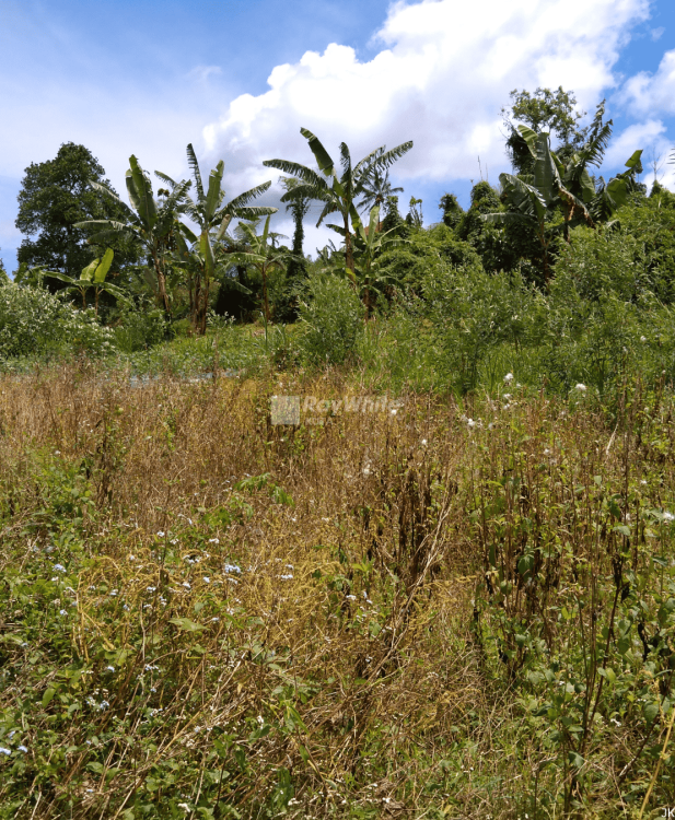 Tabanan,Bali,Indonesia,Land,MLS ID