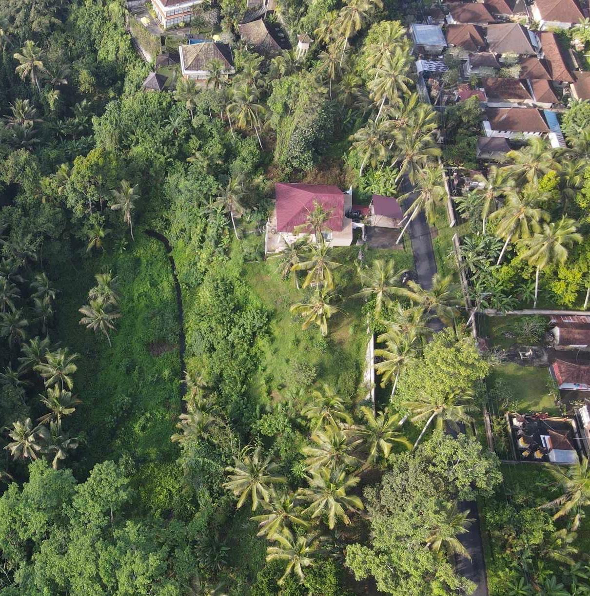 Gianyar,Bali,Indonesia,Land,MLS ID