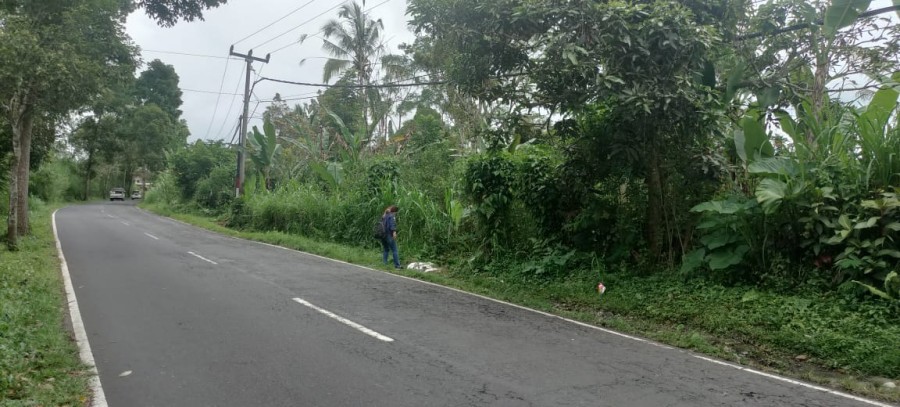 Gianyar,Bali,Indonesia,Land,MLS ID