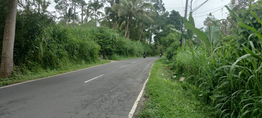 Gianyar,Bali,Indonesia,Land,MLS ID