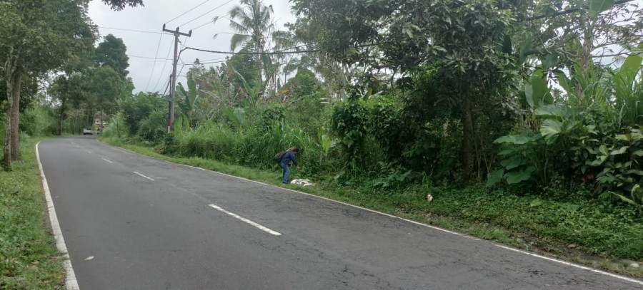 Gianyar,Bali,Indonesia,Land,MLS ID