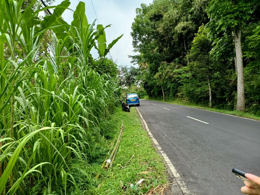 Gianyar,Bali,Indonesia,Land,MLS ID