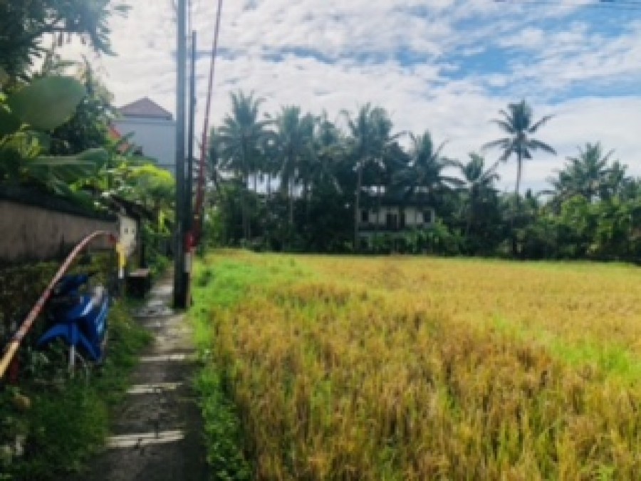 Ubud,Bali,Indonesia,Land,MLS ID