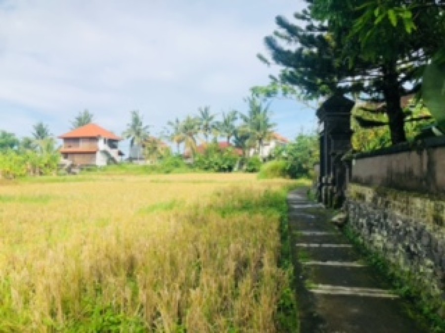 Ubud,Bali,Indonesia,Land,MLS ID