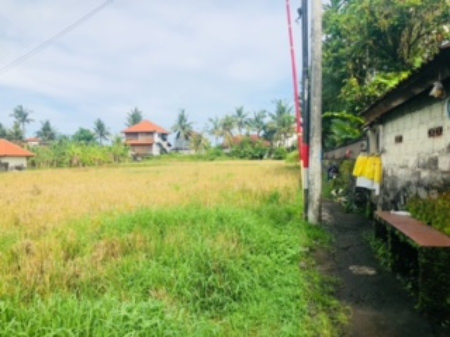 Ubud,Bali,Indonesia,Land,MLS ID