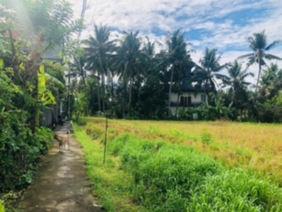 Ubud,Bali,Indonesia,Land,MLS ID