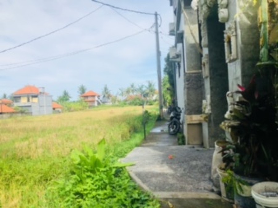 Ubud,Bali,Indonesia,Land,MLS ID