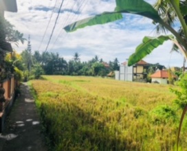 Ubud,Bali,Indonesia,Land,MLS ID