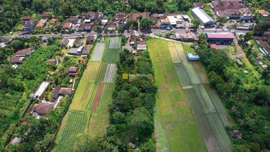 Tabanan,Bali,Indonesia,Land,MLS ID