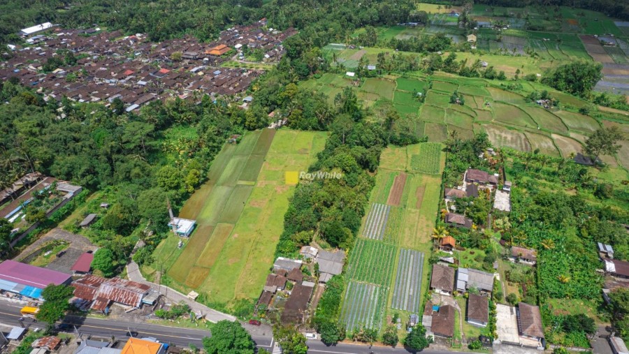 Tabanan,Bali,Indonesia,Land,MLS ID