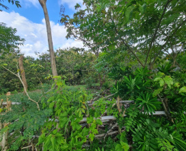 Pecatu,Bali,Indonesia,Land,MLS ID