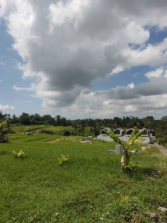 Tabanan,Bali,Indonesia,Land,MLS ID