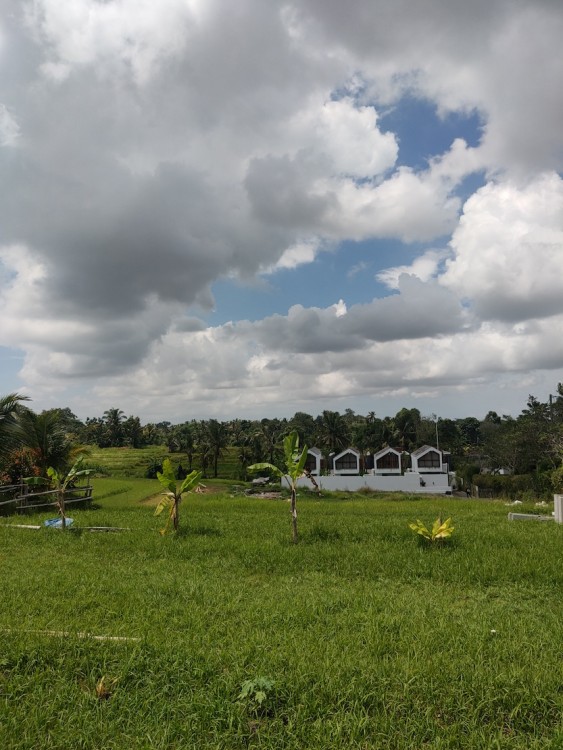 Tabanan,Bali,Indonesia,Land,MLS ID