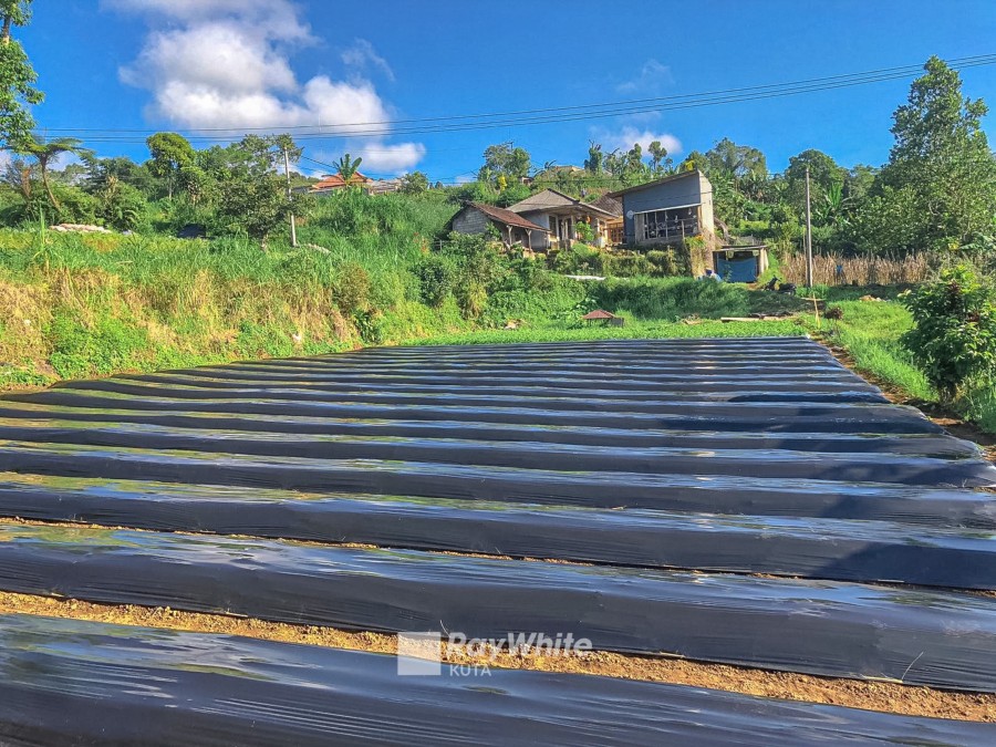 Tabanan,Bali,Indonesia,Land,MLS ID