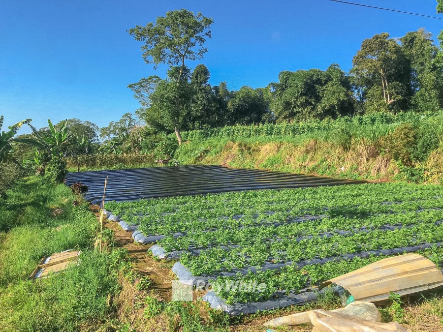 Tabanan,Bali,Indonesia,Land,MLS ID