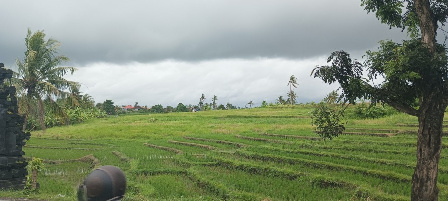 Canggu,Bali,Indonesia,Commercial,MLS ID