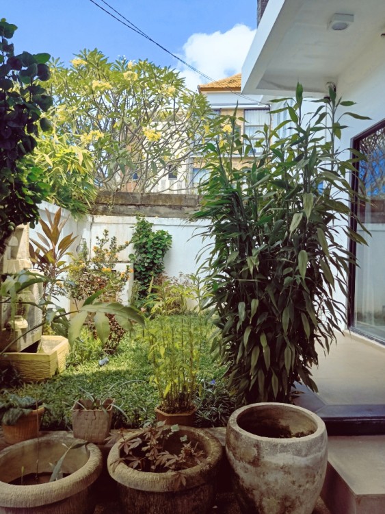 Canggu,Bali,Indonesia,3 Bedrooms,3 Bathrooms,Residential,MLS ID