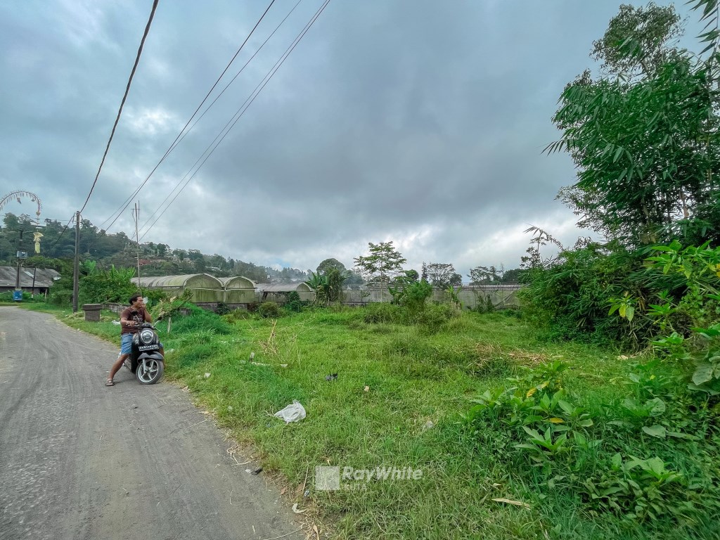 Tabanan,Bali,Indonesia,Land,MLS ID 1174