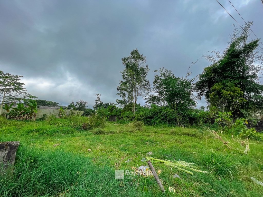 Tabanan,Bali,Indonesia,Land,MLS ID 1174