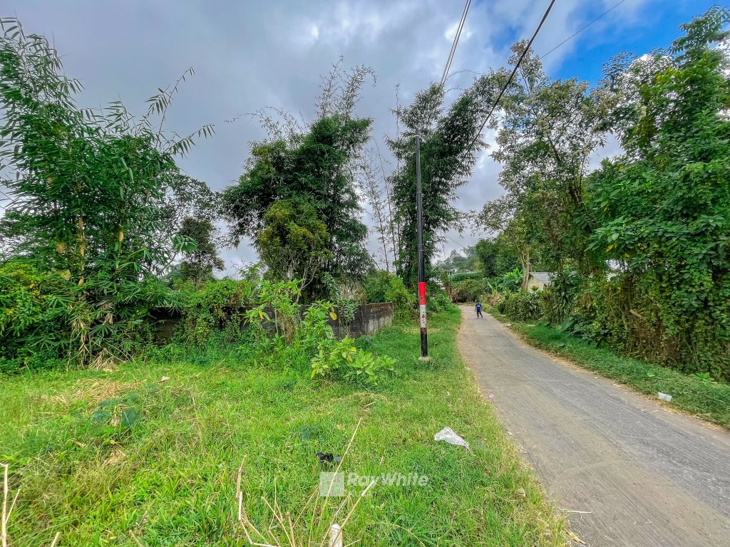 Tabanan,Bali,Indonesia,Land,MLS ID 1174