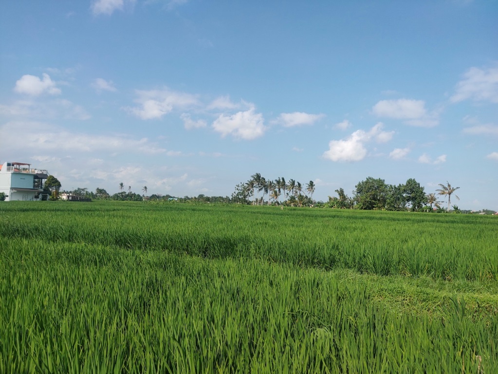 Cemagi,Bali,Indonesia,Land,MLS ID 1198