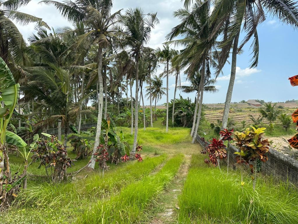 Tabanan,Bali,Indonesia,Land,MLS ID 1218