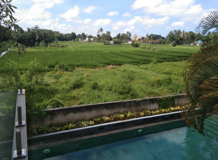 Mengwi,Bali,Indonesia,5 Bedrooms,5 Bathrooms,Villa,MLS ID 1234