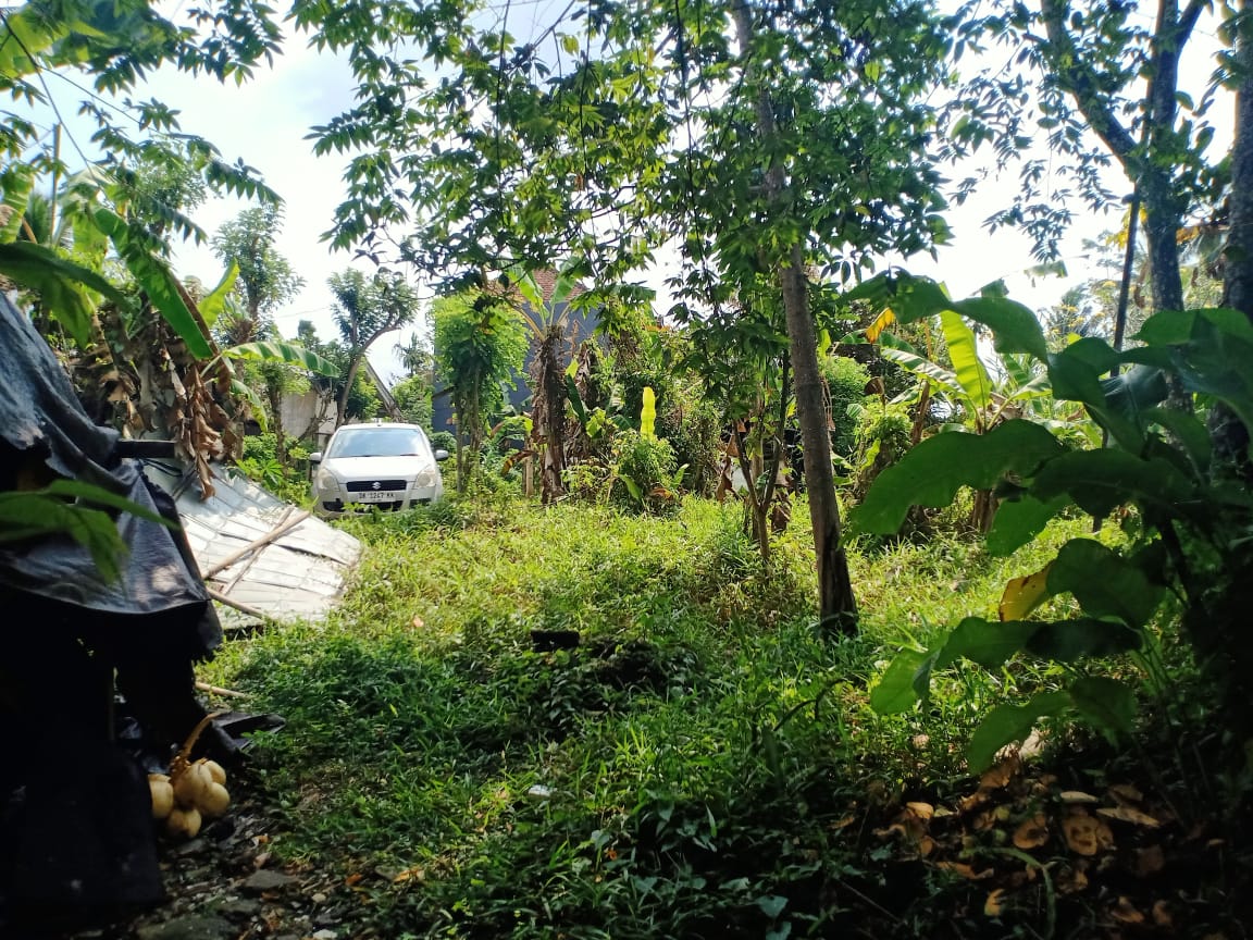 Ubud,Bali,Indonesia,Land,MLS ID 1247