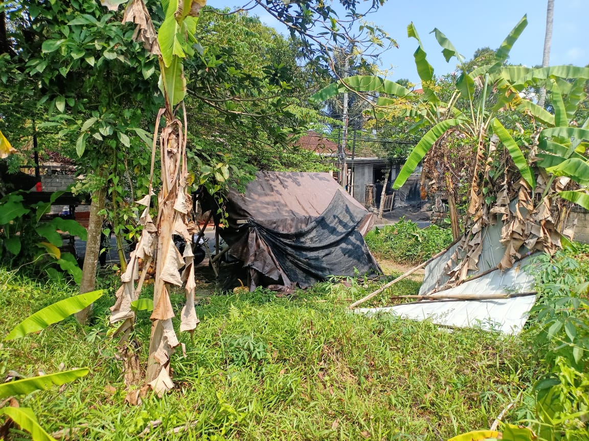 Ubud,Bali,Indonesia,Land,MLS ID 1247