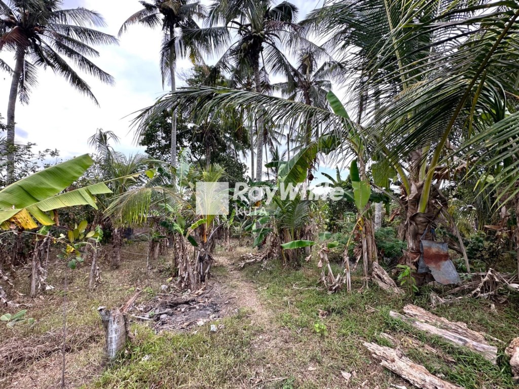 Tabanan,Bali,Indonesia,Land,MLS ID 1286