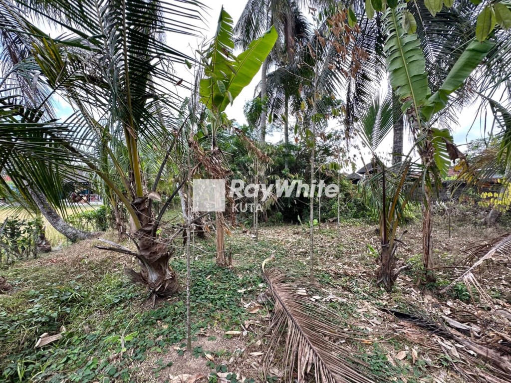 Tabanan,Bali,Indonesia,Land,MLS ID 1286