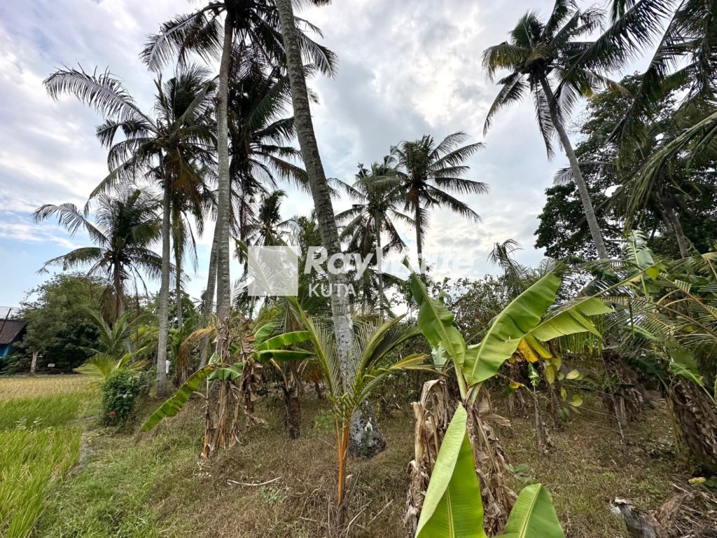 Tabanan,Bali,Indonesia,Land,MLS ID 1286