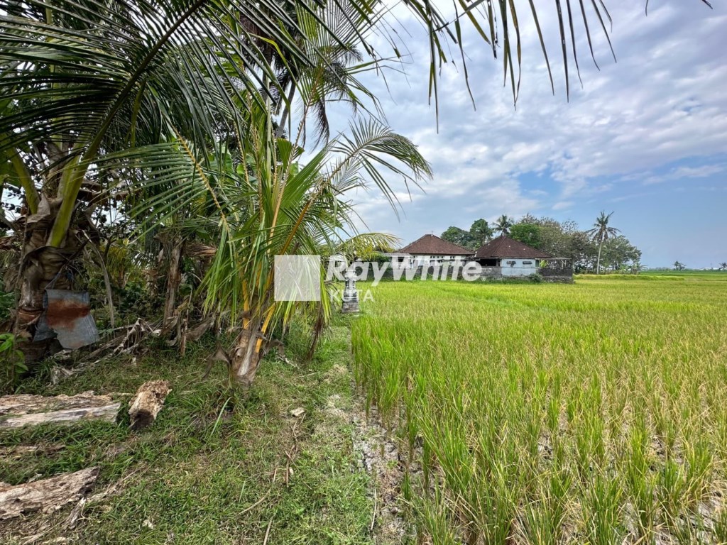 Tabanan,Bali,Indonesia,Land,MLS ID 1286