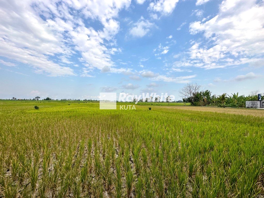 Tabanan,Bali,Indonesia,Land,MLS ID 1286