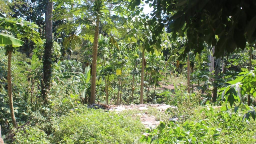 Tabanan,Bali,Indonesia,Land,MLS ID 1307