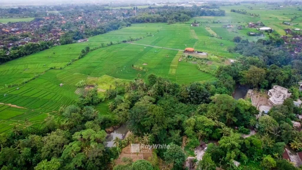 Tabanan,Bali,Indonesia,Land,MLS ID 1307