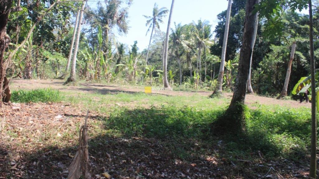 Tabanan,Bali,Indonesia,Land,MLS ID 1307